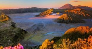 Menikmati Keindahan Alam di Tempat Wisata Batu Malang Destinasi Tersembunyi yang Wajib Dikunjungi